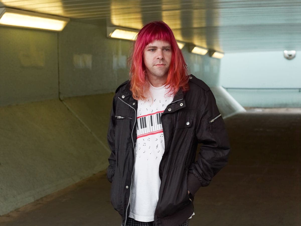 Ariel pink new album pom pom