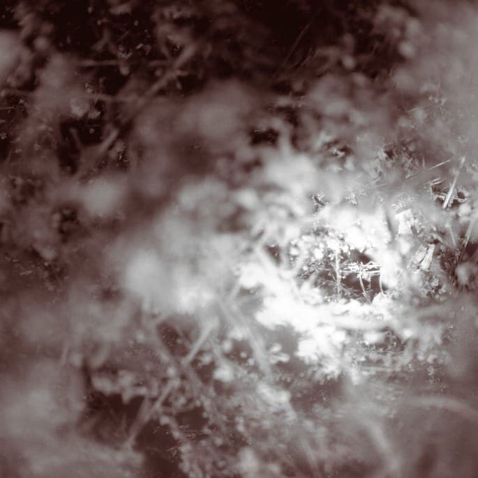 Percussionist Mike Weis meditates on mortality with solo album Don’t Know, Just Walk