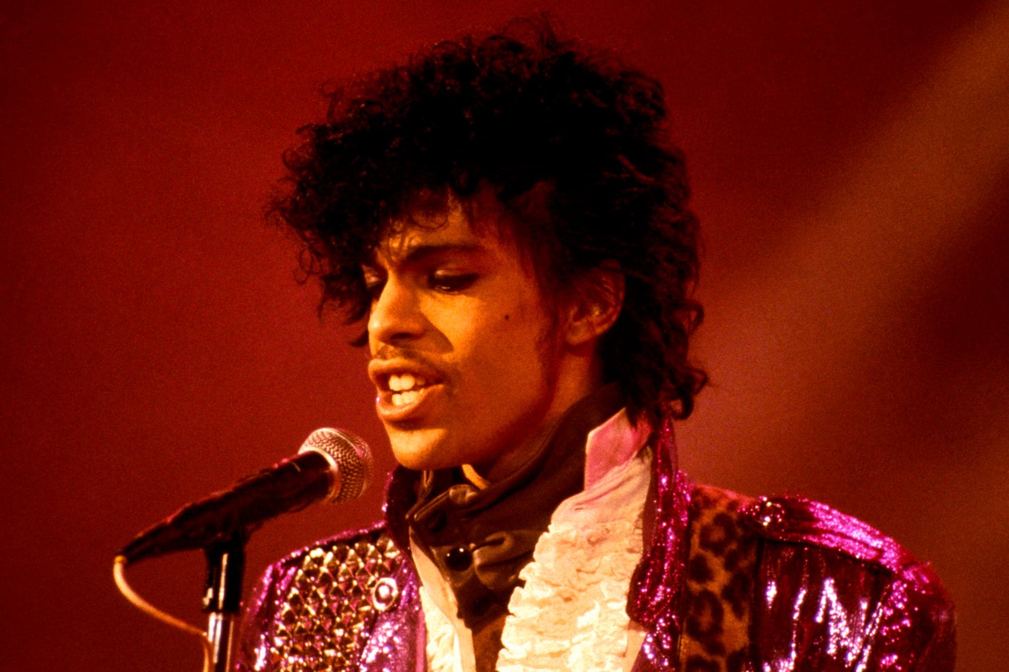 A beginner's guide to Prince
