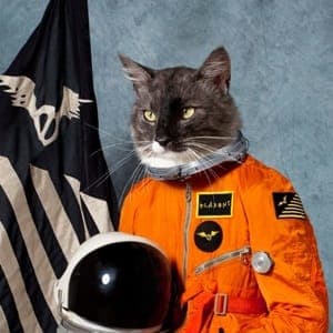 Klaxons: Surfing the Void