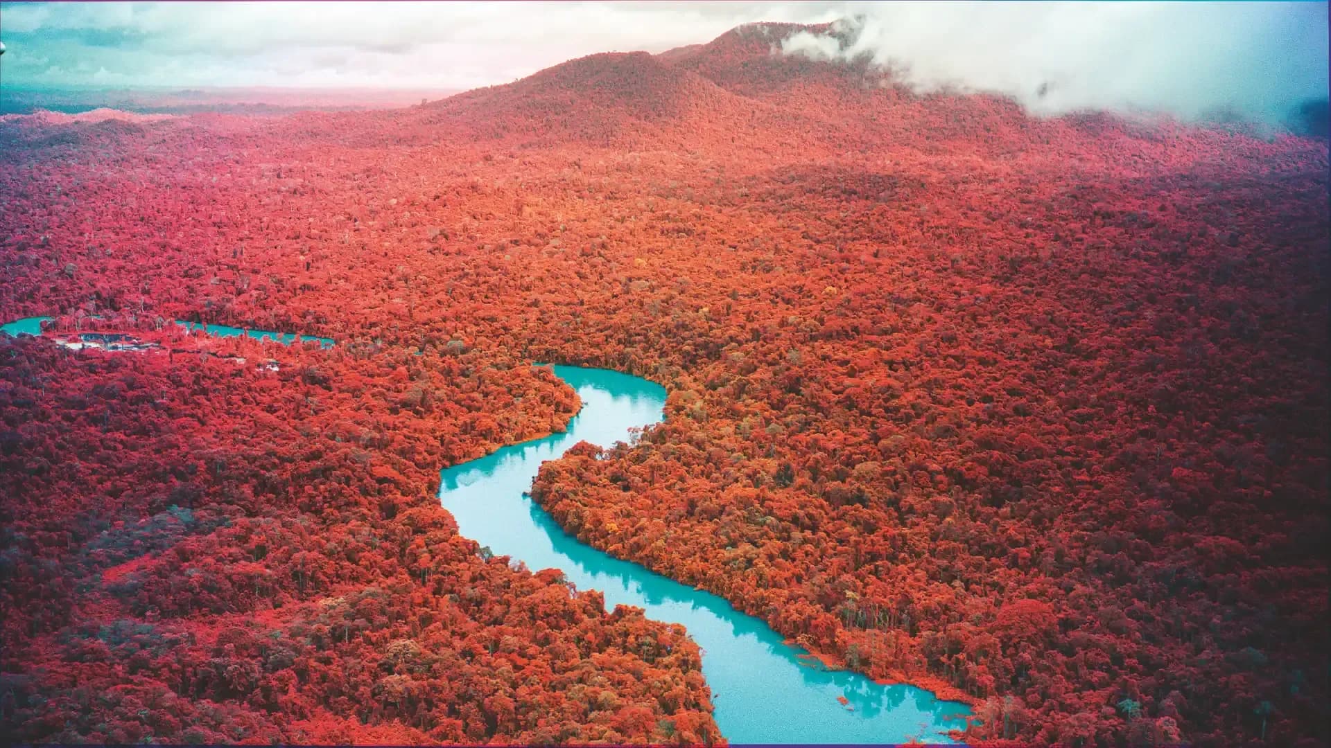 Interview: Richard Mosse