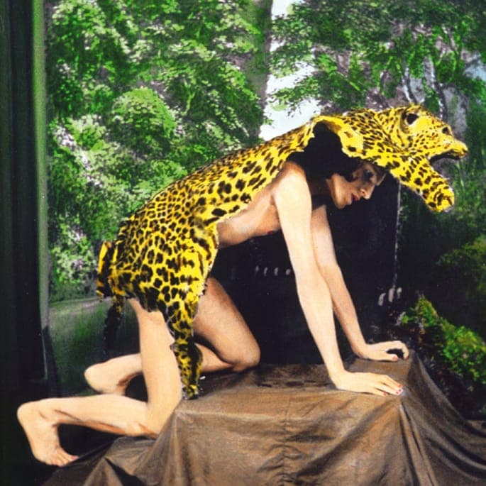 Hear a track from Ninos Du Brasil’s flamboyant Hospital Productions album Novos Mistérios