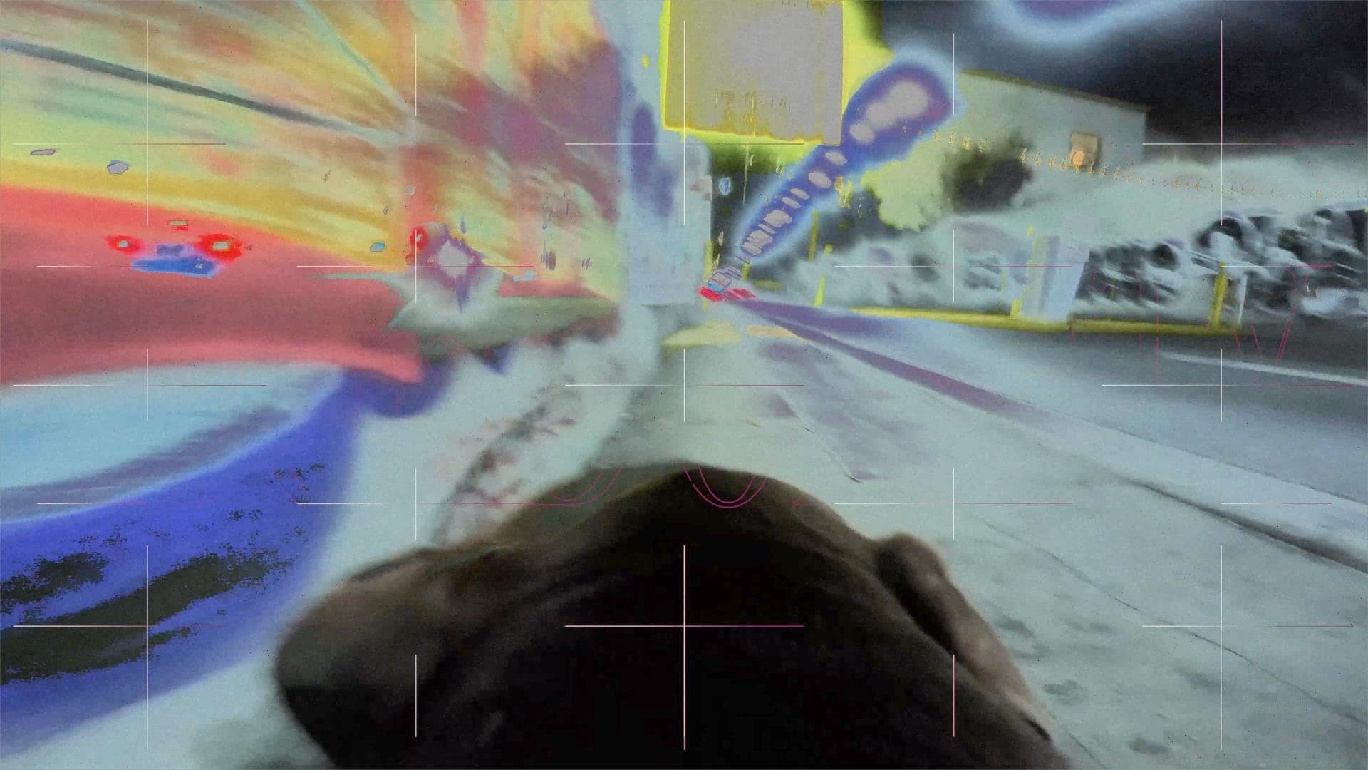 Holodec