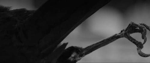 Video: Modeselektor feat. Thom Yorke – ‘Shipwreck’