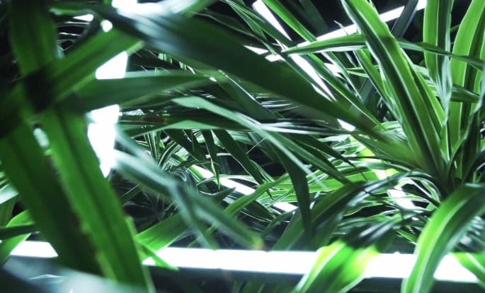 Rustie drops off ultra-glossy video for ‘Lost’ featuring Redinho