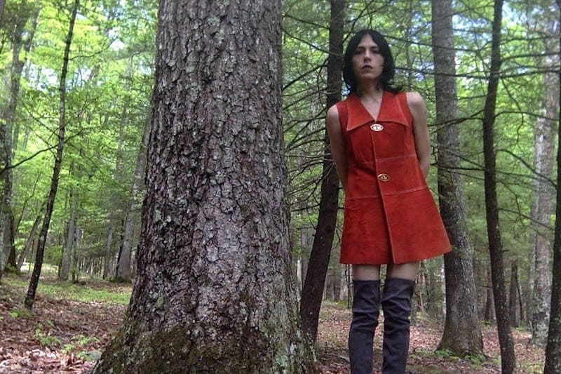 Elysia Crampton has released her fourth album, Spots y Escupitajo