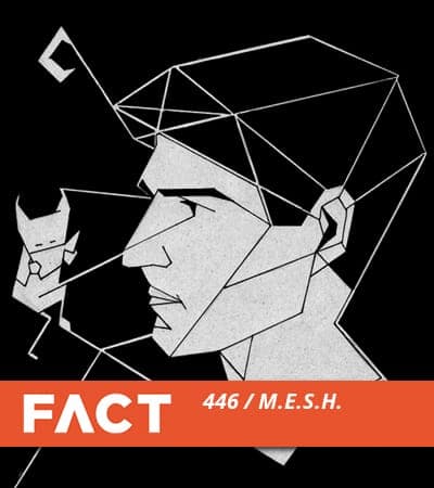 FACT mix M.E.S.H.