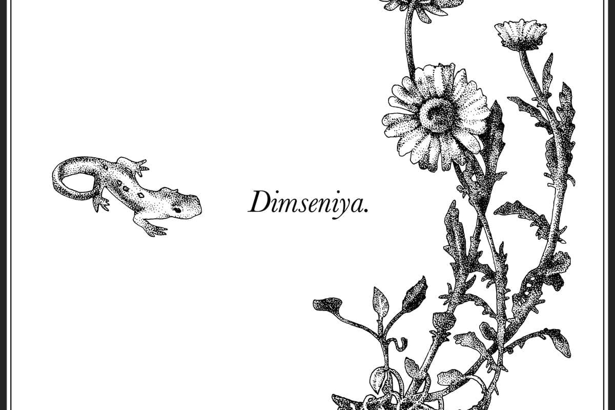 Aïsha Devi, RAMZI, Bergsonist and more featured on Dimseniya compilation