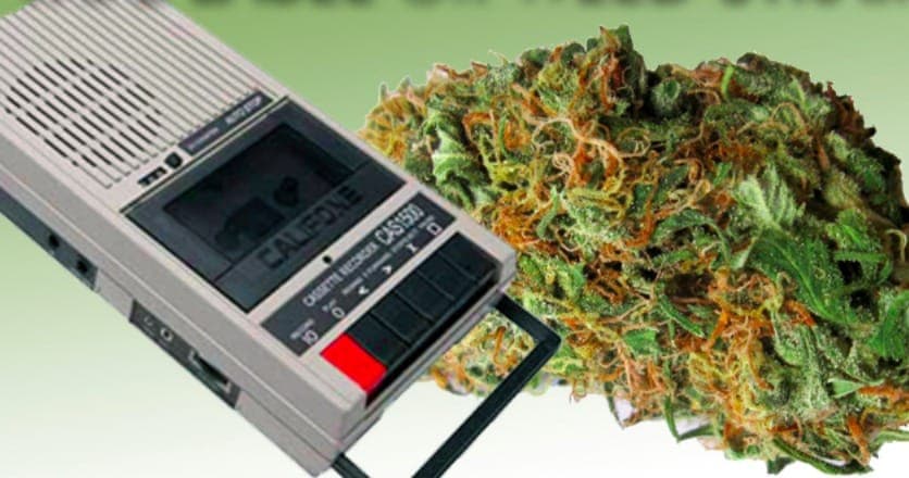 Play a 4/20 quiz: Tape Label or Weed Strain?