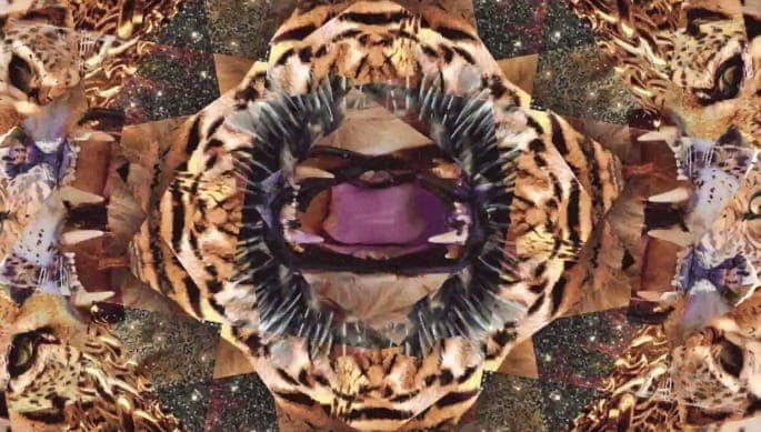 Animal Collective unveil frazzled remix of Shabazz Palaces’ ‘#CAKE’