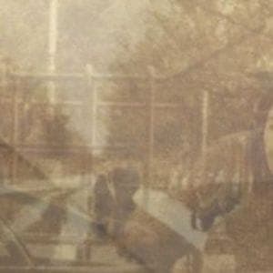 Ezekiel Honig: Folding In On Itself
