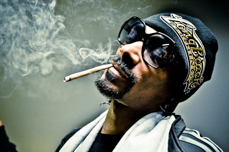Canadian marijuana industry soars due to Snoop Dogg's involvement