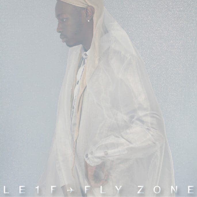Download rap provocateur Le1f's new mixtape, Fly Zone