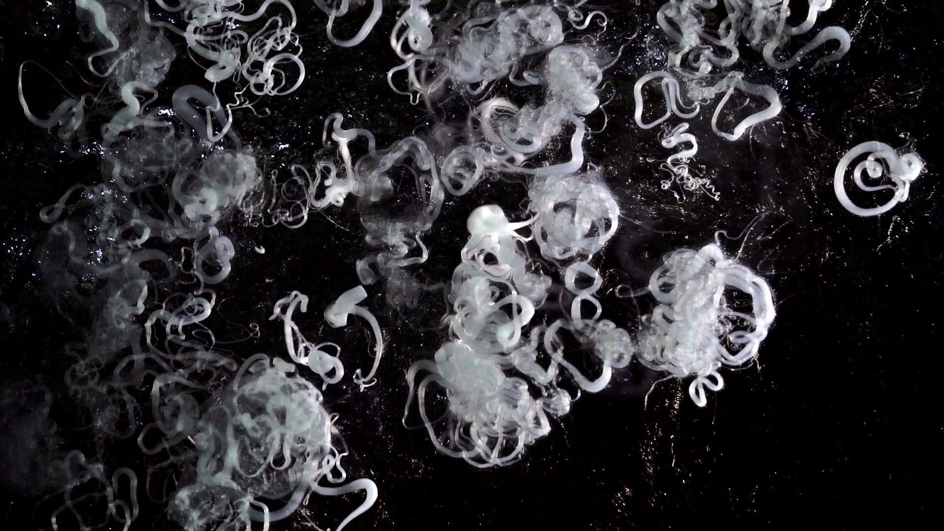 Settemsdal