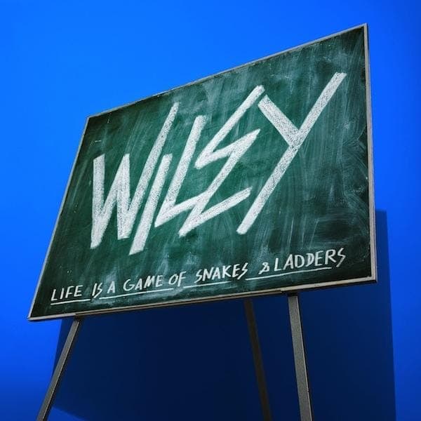 wiley snakes and ladders game