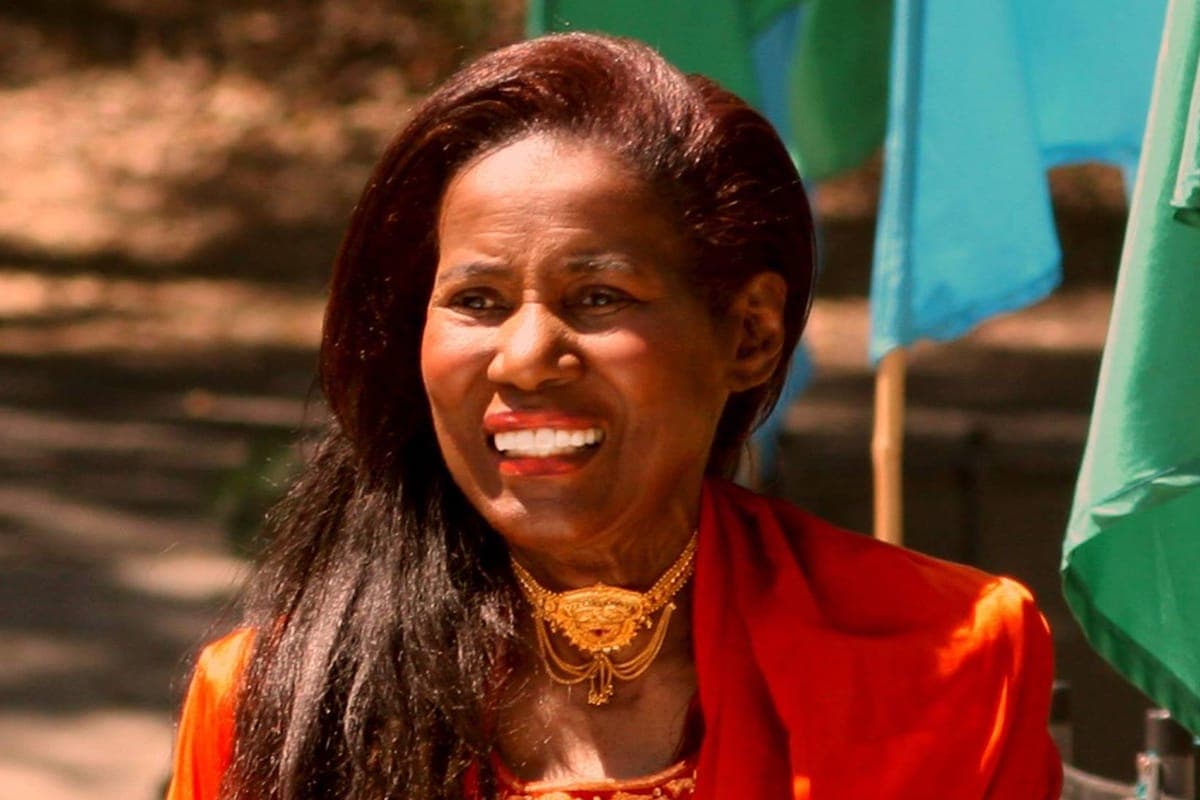 Alice Coltrane’s Sai Anantam ashram destroyed in California wildfires