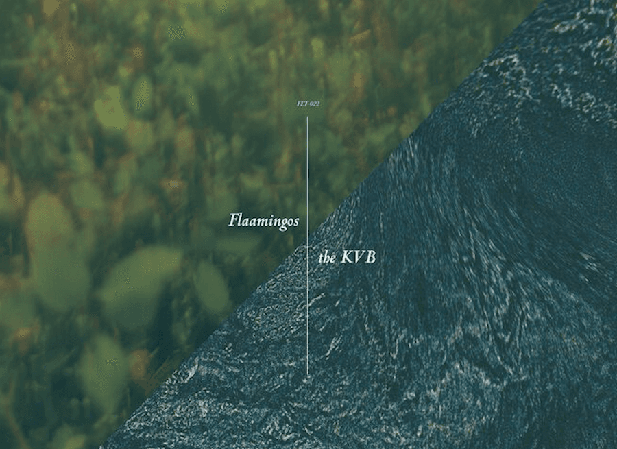 Flaamingos enlist Berlin duo KVB for split EP on felte, listen now