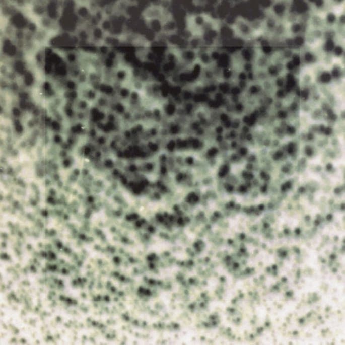 Rene Hell’s crucial Marble Sky recordings receive deluxe reissue