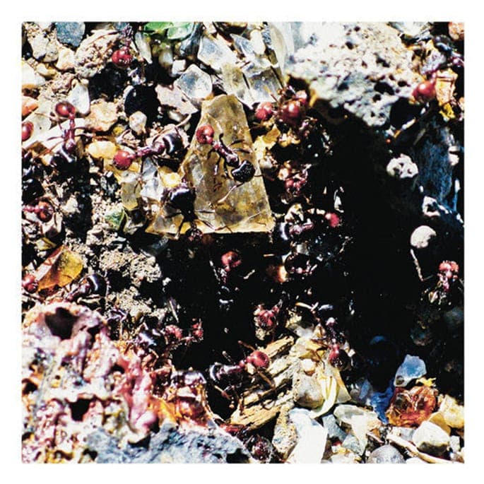 Hear the nightmarish debut album from New Mexico noise outfit Mesa Ritual