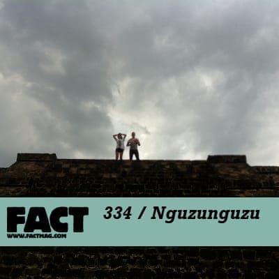 FACT mix: Nguzunguzu