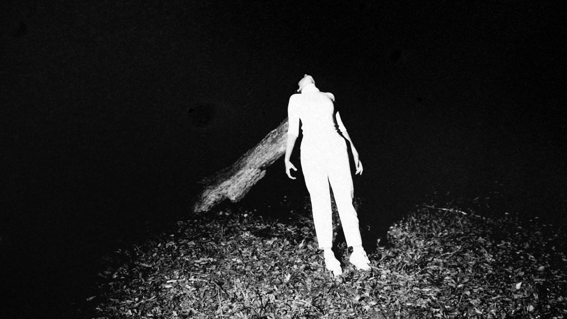 Maya Shenfeld and Pedro Maia explore ‘still movement’ in ‘Body, Electric’ visual