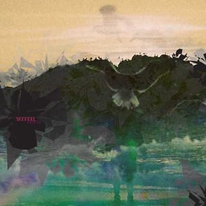 seefeel-main