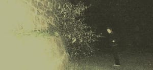 forestswords-mainarticle
