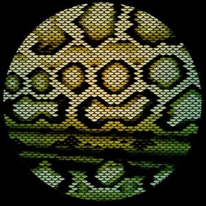 Boomslang