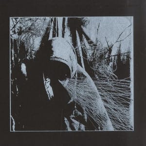 trax-softmoon