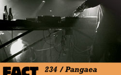 FACT mix 234: Pangaea