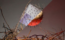 Pearson Sound / Jackmaster: FabricLive 56 / 57