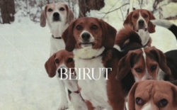 Beirut returns with limited edition 7″