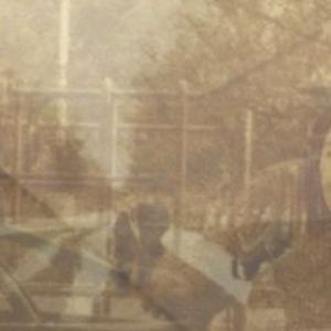 Ezekiel Honig: Folding In On Itself
