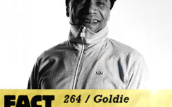 FACT mix 264: Goldie