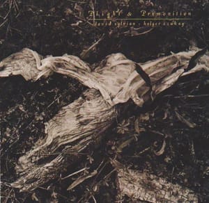 sylvian-bamboohouses