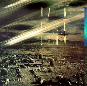 sylvian-bamboohouses