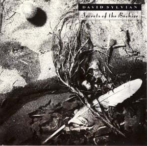 sylvian-bamboohouses