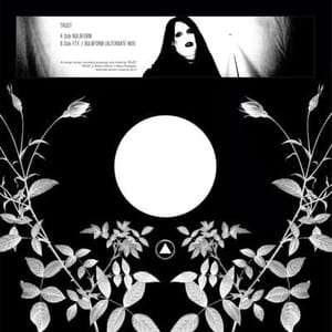 trust-bulbform