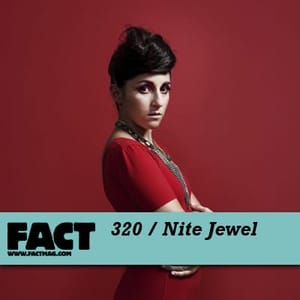 factmix230-nitejewel--3.9.2012