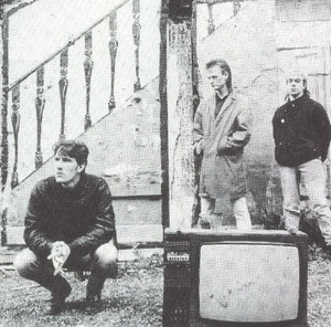 irish-dogmaticelement