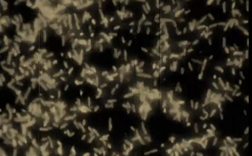 Watch the sinister new video for Old Apparatus’ ‘Realise’