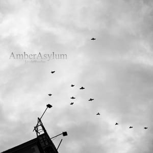 readers-ambersasylum
