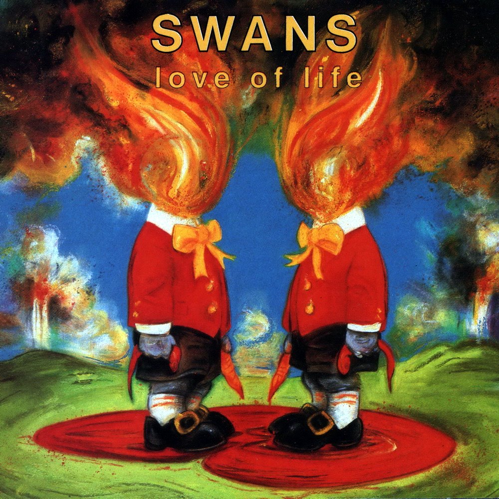 swans