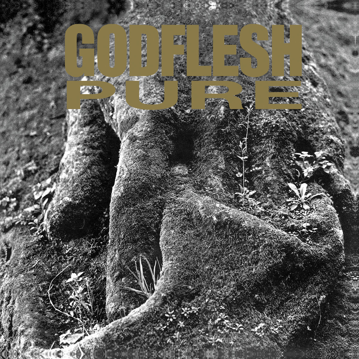 godflesh
