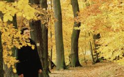 On Record: Pole applauds the powerful economy of Lou Reed’s The Bells