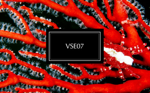 Jacques Greene shares free Vase compilation EP, featuring Ango, Zodiac