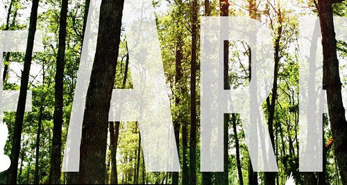 Hertfordshire’s FARR festival welcomes Jackmaster, Spectrasoul, Outboxx and more