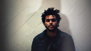The Weeknd's <i>Trilogy</i> finally sees vinyl release, in whopping six-LP box-set The Weeknd's <i>Trilogy</i> finally sees vinyl release, in whopping six-LP box-set
