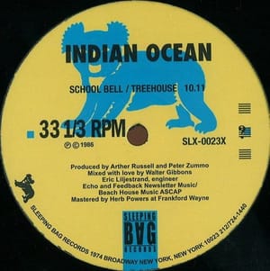 IndianOcean120413