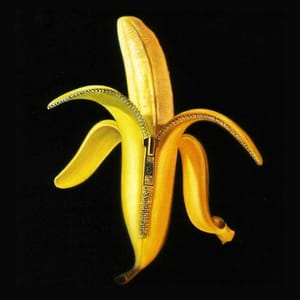 nile-dandywarhols_welcome_monkeys_house